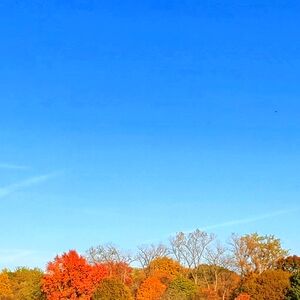 Meet your Posher, Alaina